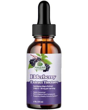 Amazing Botanicals Elderberry Extract Tincture 1 oz amber dropper bottle on white