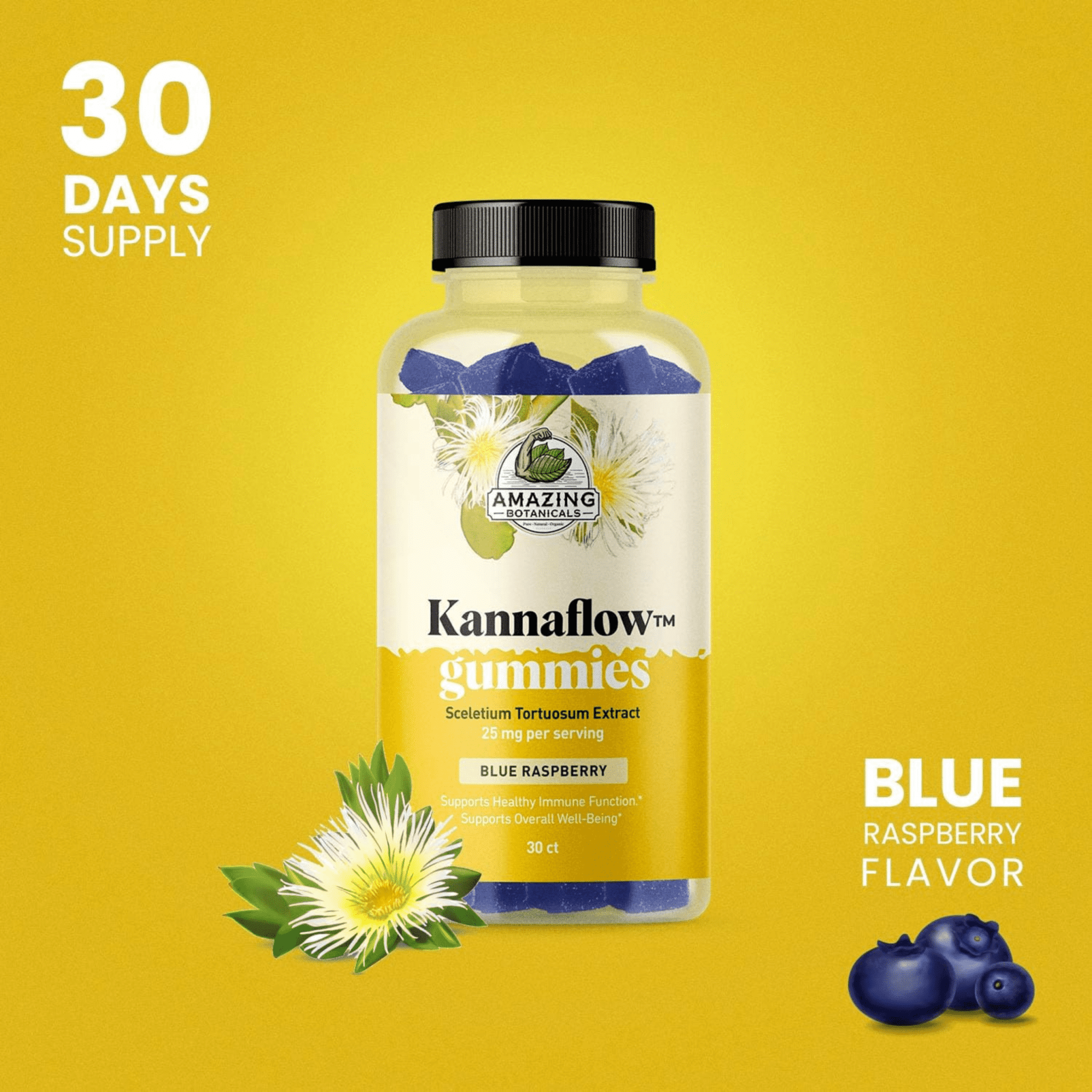Kannaflow Mood Gummies thumbnail 2