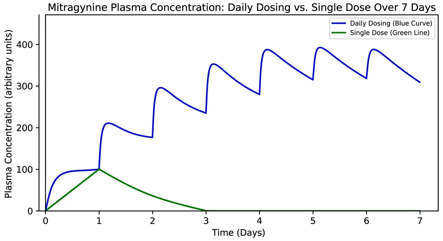 Graph showing mitragynine plasma accumulation over 7 days of daily kratom use reaching 3 to 4 times single dose levels